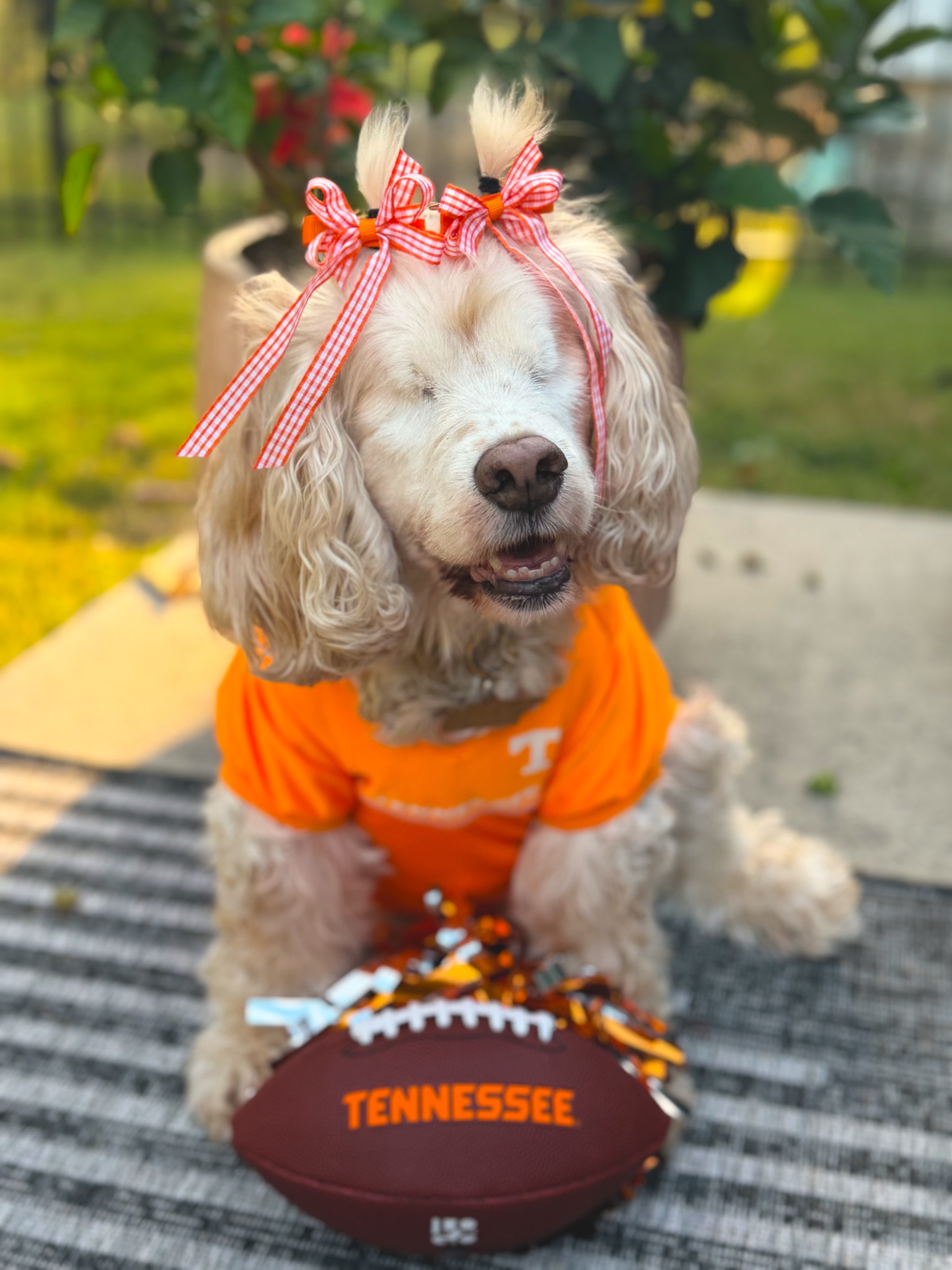 GameDay photo