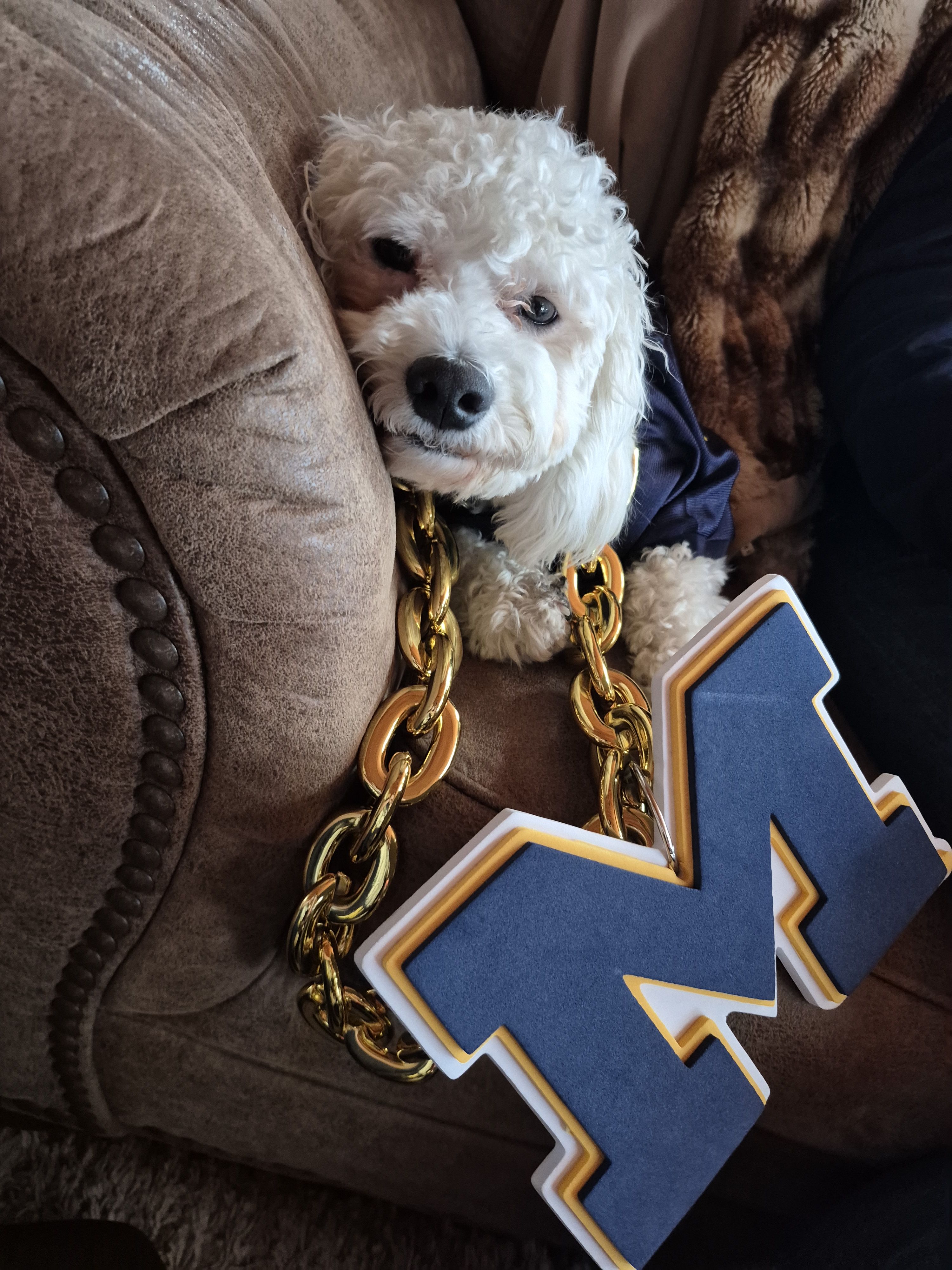 GameDay photo