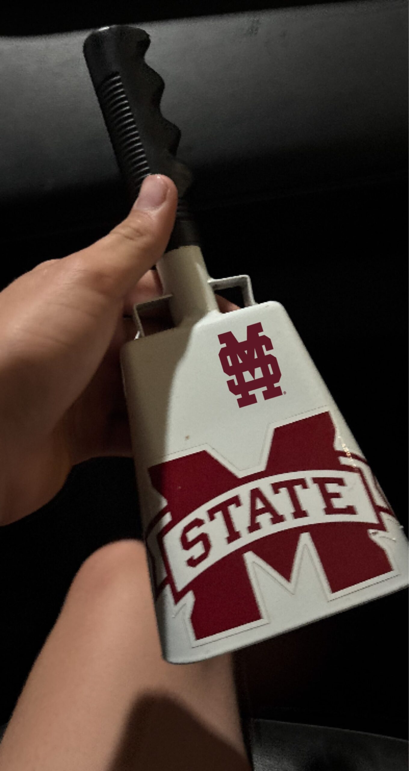 Mississippi State Bulldogs