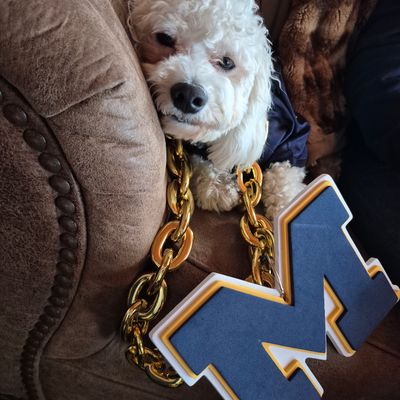 GameDay photo