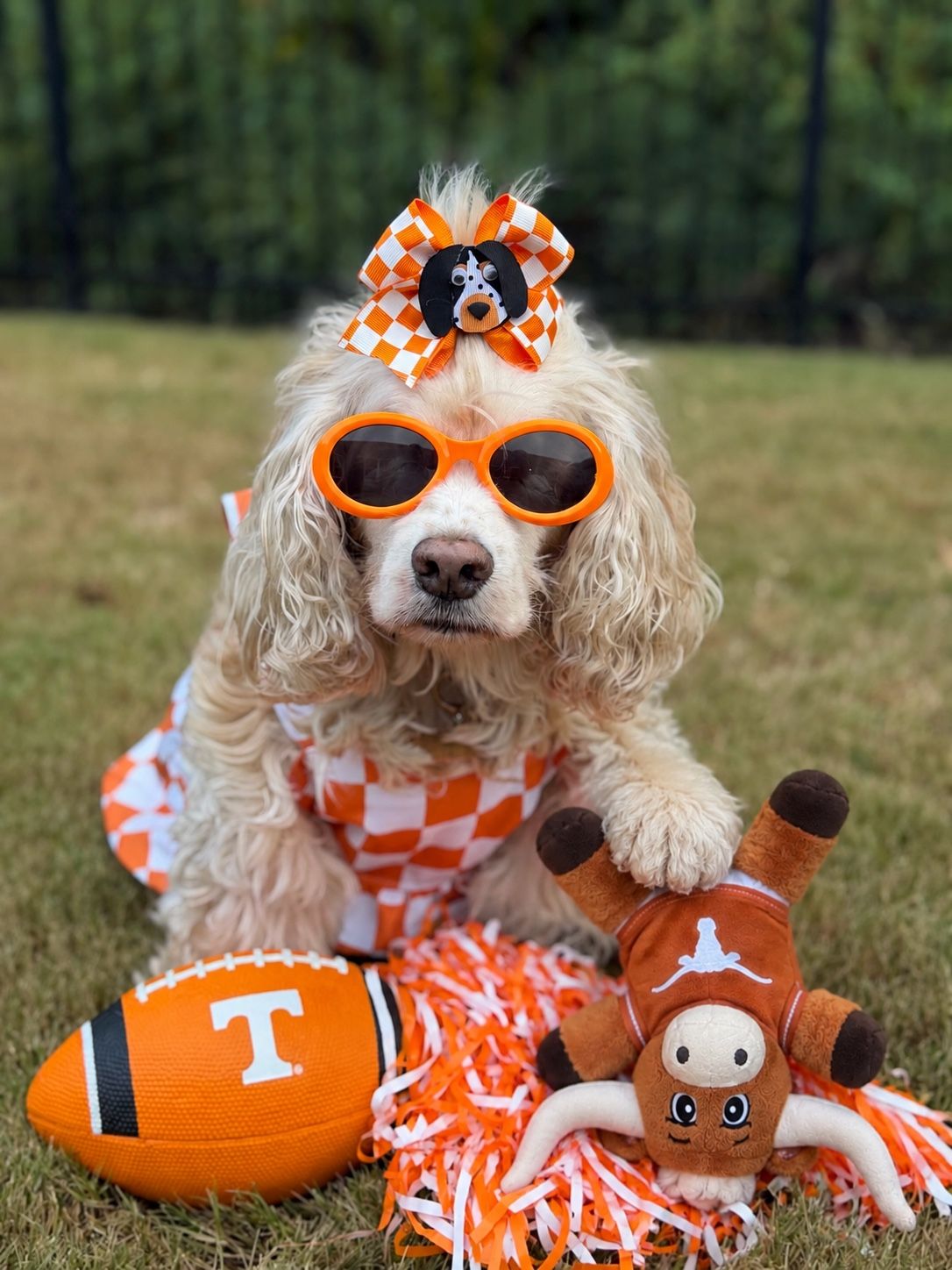 GameDay photo