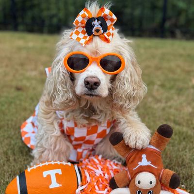 GameDay photo