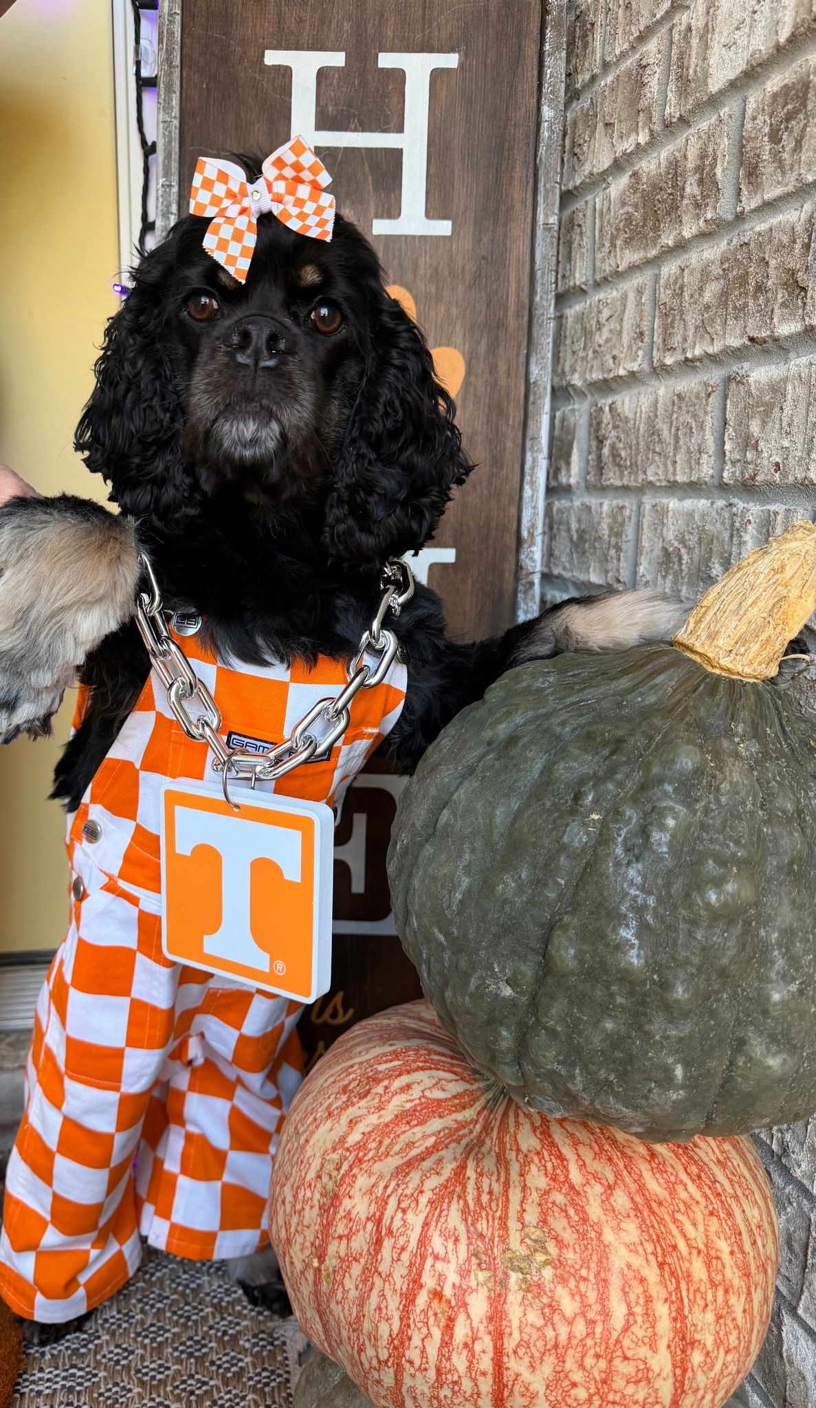 GameDay photo