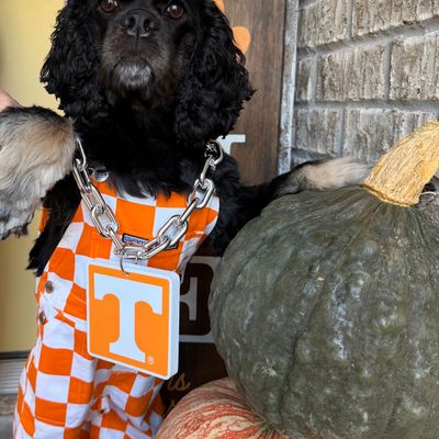 GameDay photo