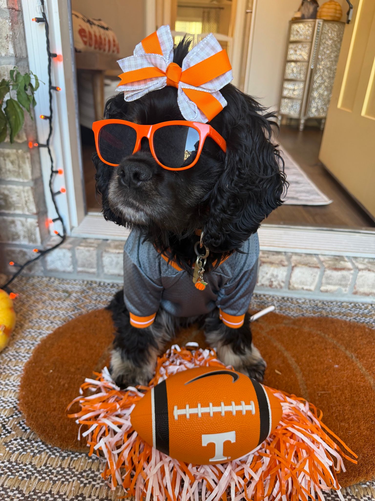 GameDay photo
