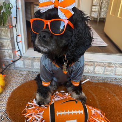 GameDay photo