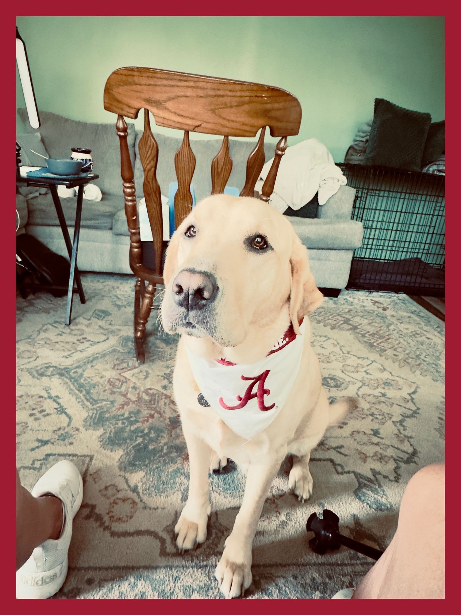 GameDay photo