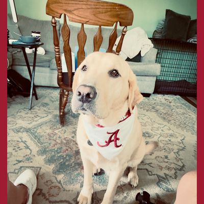 GameDay photo
