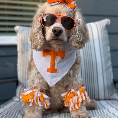 GameDay photo